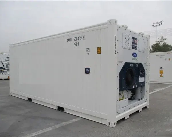 Contenedor Congelador Frigorífico de 20 Pies