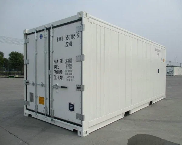 CONTENEDOR REFRIGERADO DE 20 PIES (REEFER)